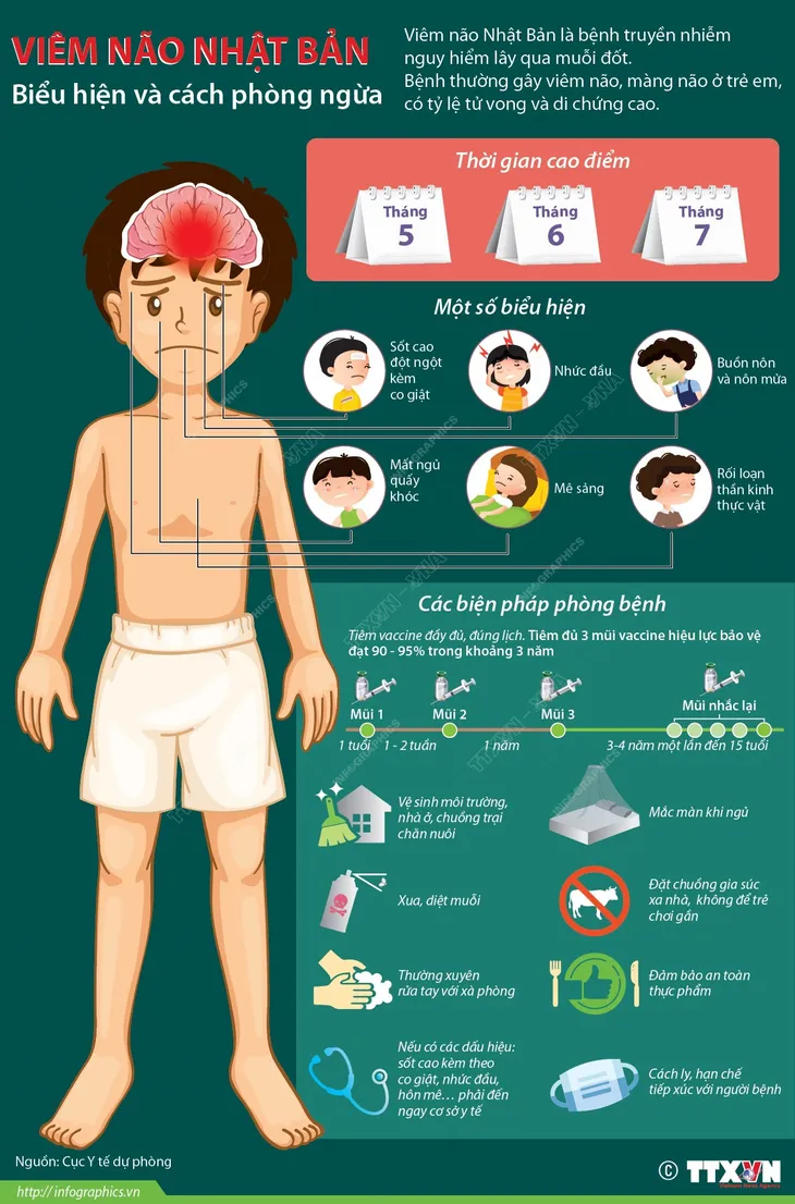 Cảnh giác với bệnh viêm não Nhật Bản - Ảnh 1. Cảnh giác với bệnh viêm não Nhật Bản - Ảnh 1.