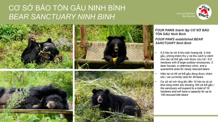 Hà Nội là “điểm nóng” nhất về nuôi nhốt gấu - Ảnh 3. Hà Nội là “điểm nóng” nhất về nuôi nhốt gấu - Ảnh 3.