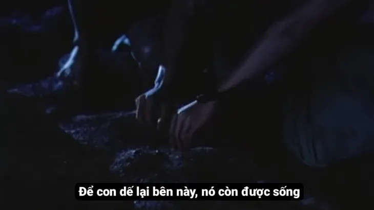 “Mùi cỏ cháy” - bộ phim hay nhất về đề tài chiến tranh Việt Nam - Ảnh 4. “Mùi cỏ cháy” - bộ phim hay nhất về đề tài chiến tranh Việt Nam - Ảnh 4.