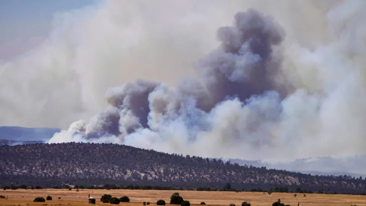 Gió mạnh chưa từng có dự kiến sẽ thổi bùng lửa cháy rừng tại bang New Mexico, Mỹ - Ảnh 1. Gió mạnh chưa từng có dự kiến sẽ thổi bùng lửa cháy rừng tại bang New Mexico, Mỹ - Ảnh 1.