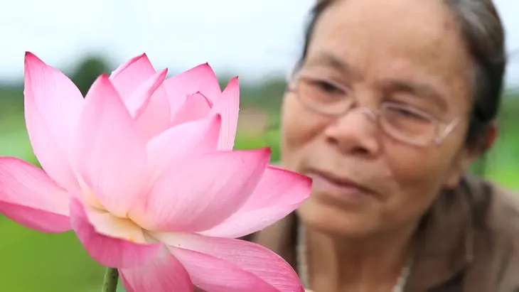 Chương trình mới Việt Nam đa sắc: Tôn vinh văn hoá Việt - Ảnh 4. Chương trình mới Việt Nam đa sắc: Tôn vinh văn hoá Việt - Ảnh 4.