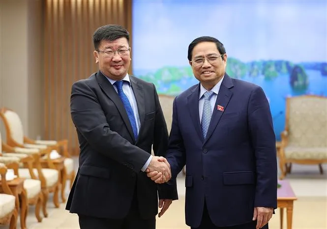 Thủ tướng tiếp Đại sứ Ai Cập và Đại sứ Mông Cổ - Ảnh 3. Thủ tướng tiếp Đại sứ Ai Cập và Đại sứ Mông Cổ - Ảnh 3.