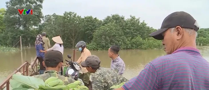 Bãi giữa sông Hồng ngập sâu, người dân phải dùng đò di chuyển - Ảnh 1. Bãi giữa sông Hồng ngập sâu, người dân phải dùng đò di chuyển - Ảnh 1.