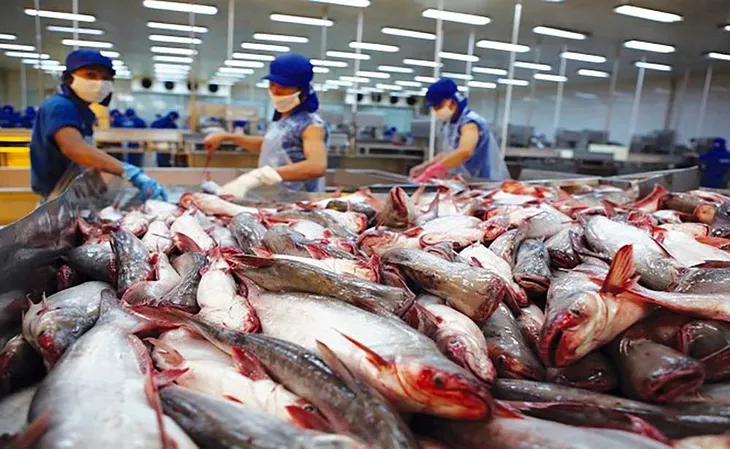 Giá cá tra xuất khẩu vào Hoa Kỳ lập kỷ lục - Ảnh 1. Giá cá tra xuất khẩu vào Hoa Kỳ lập kỷ lục - Ảnh 1.