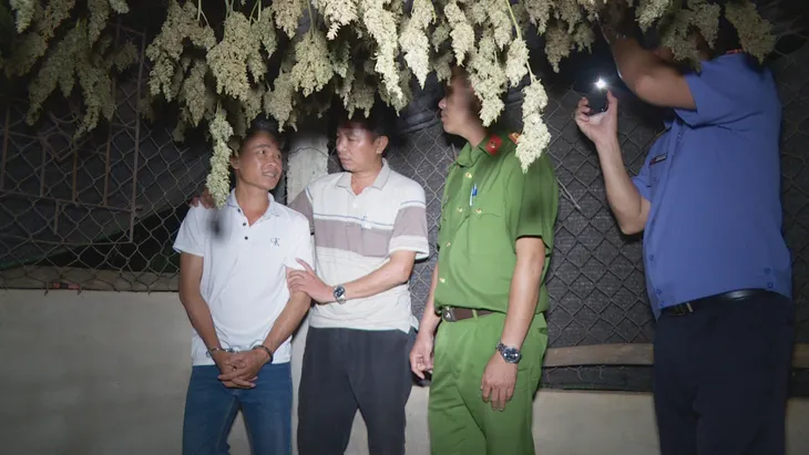 Đắk Lắk: Khởi tố đối tượng trồng hàng trăm cây cần sa để bán - Ảnh 1. Đắk Lắk: Khởi tố đối tượng trồng hàng trăm cây cần sa để bán - Ảnh 1.