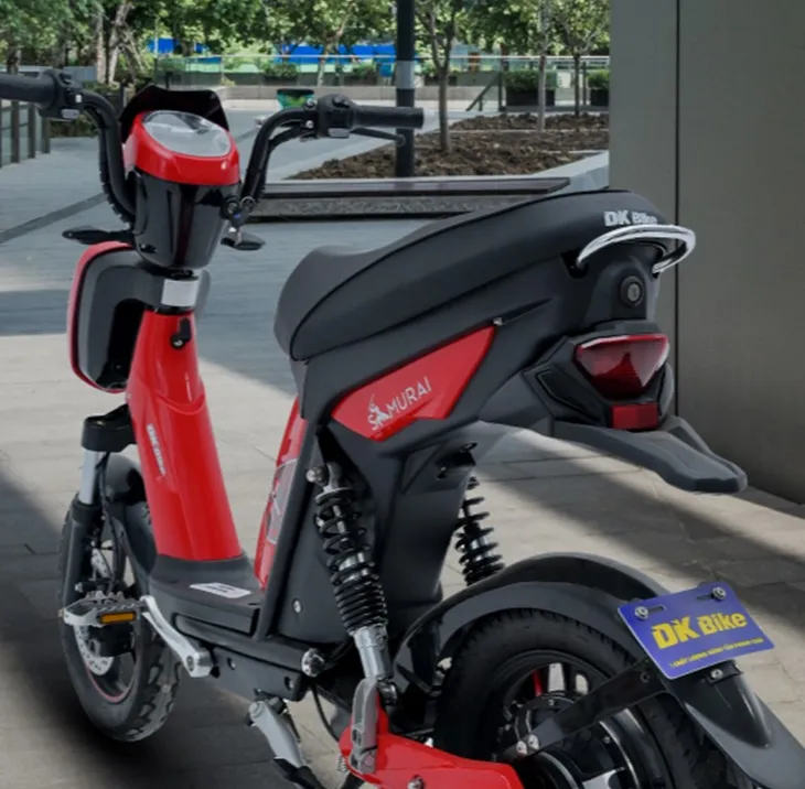 Lý do xe điện DKBike “cháy hàng” - Ảnh 4. Lý do xe điện DKBike “cháy hàng” - Ảnh 4.