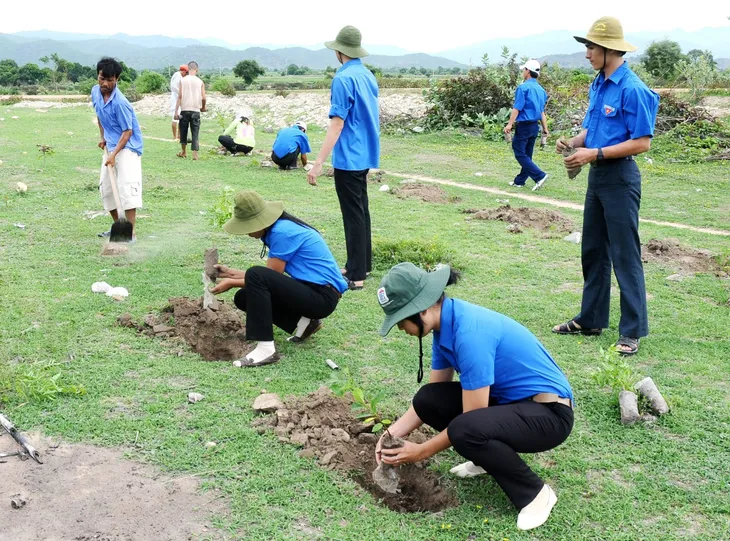 Phủ xanh đô thị tại Bình Thuận: Đã có doanh nghiệp tiên phong đồng hành - Ảnh 1. Phủ xanh đô thị tại Bình Thuận: Đã có doanh nghiệp tiên phong đồng hành - Ảnh 1.