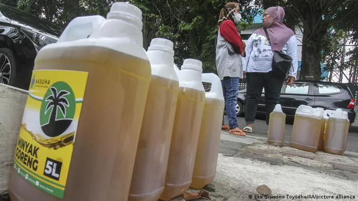 Indonesia đã cấp phép xuất khẩu khoảng 302.000 tấn dầu cọ - Ảnh 1. Indonesia đã cấp phép xuất khẩu khoảng 302.000 tấn dầu cọ - Ảnh 1.