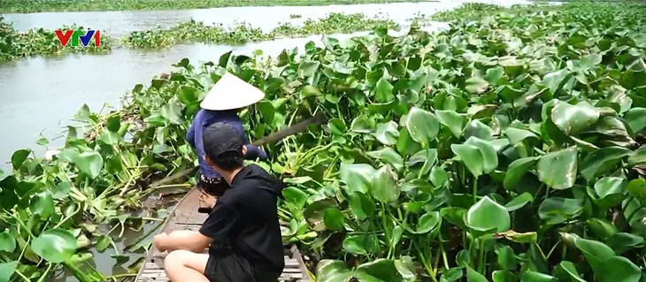 Cặp lá yêu thương: Cậu bé nuôi ước mơ đi học giữa dòng lục bình - Ảnh 1. Cặp lá yêu thương: Cậu bé nuôi ước mơ đi học giữa dòng lục bình - Ảnh 1.
