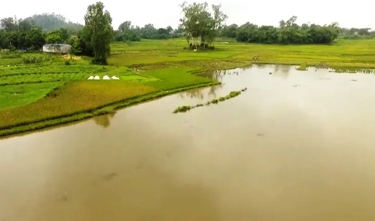 Nhiều ruộng lúa ngập như hồ suốt nhiều năm - Ảnh 3. Nhiều ruộng lúa ngập như hồ suốt nhiều năm - Ảnh 3.