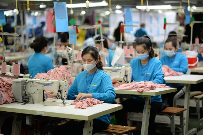 Đồng Euro suy yếu tác động thế nào tới doanh nghiệp xuất khẩu? - Ảnh 1.