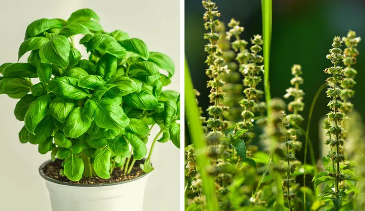 6 điều cần biết giúp lựa chọn thực phẩm khôn ngoan hơn - Ảnh 4. 6 điều cần biết giúp lựa chọn thực phẩm khôn ngoan hơn - Ảnh 4.