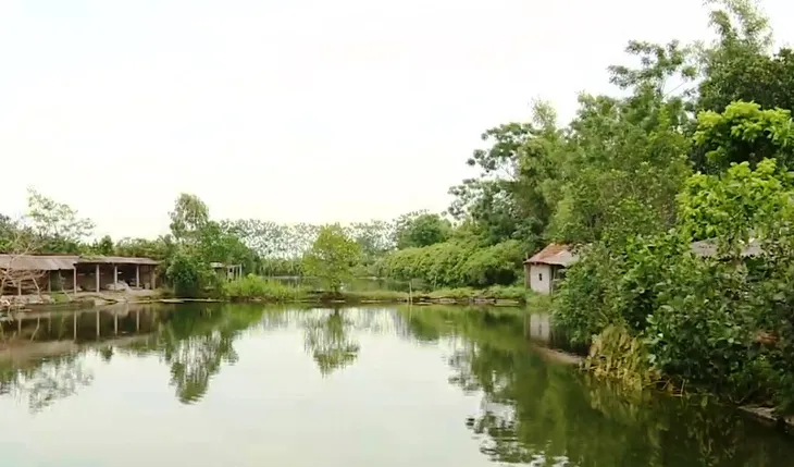 Chung tay nâng cao mức sống cho người có công - Ảnh 1.