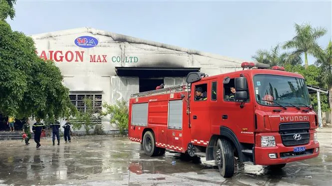 Hai vụ cháy lớn liên tiếp trong KCN Phú Tài (Bình Định), thiệt hại hàng chục tỷ đồng - Ảnh 9. Hai vụ cháy lớn liên tiếp trong KCN Phú Tài (Bình Định), thiệt hại hàng chục tỷ đồng - Ảnh 9.