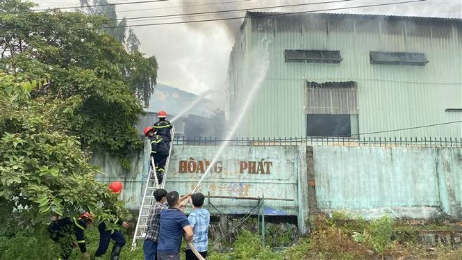 Hai vụ cháy lớn liên tiếp trong KCN Phú Tài (Bình Định), thiệt hại hàng chục tỷ đồng - Ảnh 1. Hai vụ cháy lớn liên tiếp trong KCN Phú Tài (Bình Định), thiệt hại hàng chục tỷ đồng - Ảnh 1.