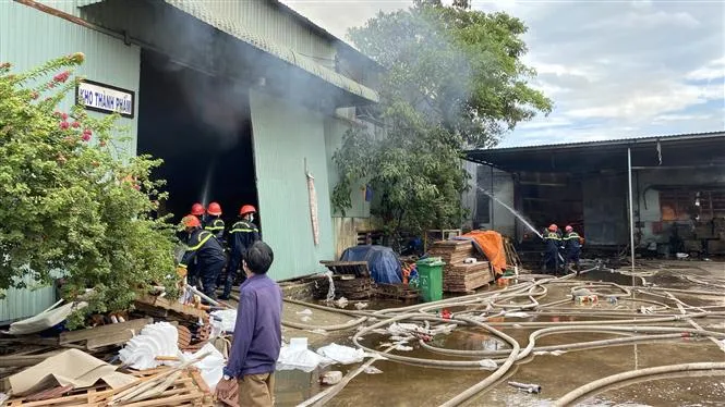 Hai vụ cháy lớn liên tiếp trong KCN Phú Tài (Bình Định), thiệt hại hàng chục tỷ đồng - Ảnh 6. Hai vụ cháy lớn liên tiếp trong KCN Phú Tài (Bình Định), thiệt hại hàng chục tỷ đồng - Ảnh 6.