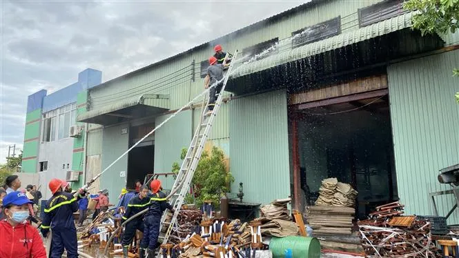 Hai vụ cháy lớn liên tiếp trong KCN Phú Tài (Bình Định), thiệt hại hàng chục tỷ đồng - Ảnh 3. Hai vụ cháy lớn liên tiếp trong KCN Phú Tài (Bình Định), thiệt hại hàng chục tỷ đồng - Ảnh 3.