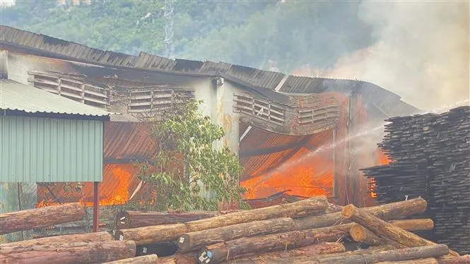 Hai vụ cháy lớn liên tiếp trong KCN Phú Tài (Bình Định), thiệt hại hàng chục tỷ đồng - Ảnh 7. Hai vụ cháy lớn liên tiếp trong KCN Phú Tài (Bình Định), thiệt hại hàng chục tỷ đồng - Ảnh 7.