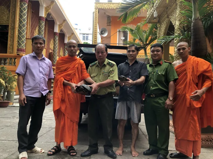 TP Hồ Chí Minh: Tiếp nhận cứu hộ 40 cá thể rùa phóng sinh từ các nhà chùa - Ảnh 1. TP Hồ Chí Minh: Tiếp nhận cứu hộ 40 cá thể rùa phóng sinh từ các nhà chùa - Ảnh 1.