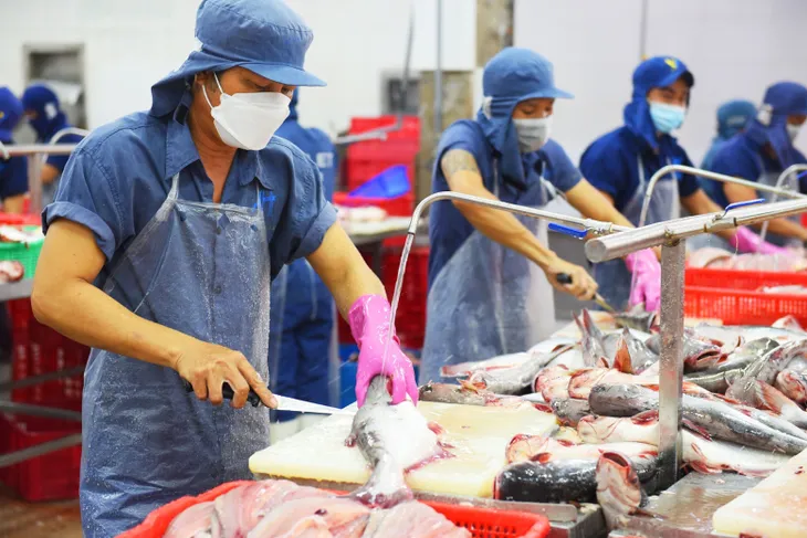 Xuất khẩu nông, lâm, thủy sản 7 tháng đạt hơn 32 tỷ USD - Ảnh 2. Xuất khẩu nông, lâm, thủy sản 7 tháng đạt hơn 32 tỷ USD - Ảnh 2.