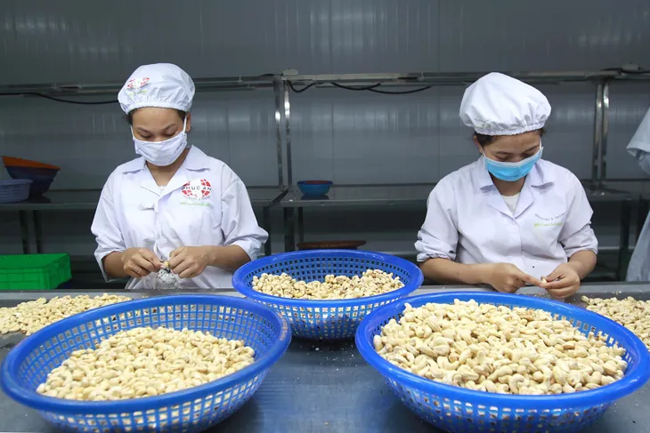 Tăng cường xúc tiến thương mại qua Thương vụ Việt Nam tại nước ngoài - Ảnh 1. Tăng cường xúc tiến thương mại qua Thương vụ Việt Nam tại nước ngoài - Ảnh 1.