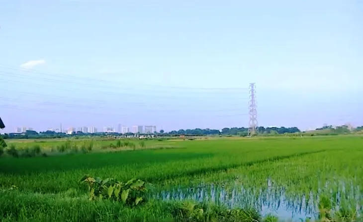 Ám ảnh dông sét trên những cánh đồng - Ảnh 1. Ám ảnh dông sét trên những cánh đồng - Ảnh 1.