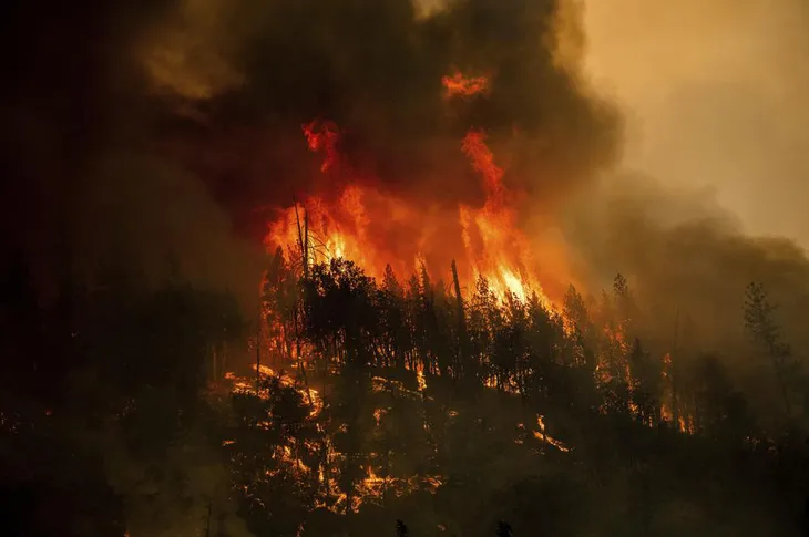 Cháy rừng bùng phát nhanh ở Bắc California, hàng nghìn cư dân phải sơ tán - Ảnh 7. Cháy rừng bùng phát nhanh ở Bắc California, hàng nghìn cư dân phải sơ tán - Ảnh 7.