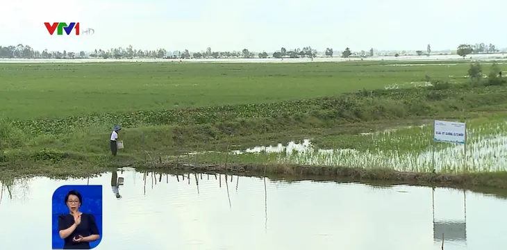 Vùng đầu nguồn Đồng bằng sông Cửu Long sẵn sàng xả lũ đón phù sa - Ảnh 1. Vùng đầu nguồn Đồng bằng sông Cửu Long sẵn sàng xả lũ đón phù sa - Ảnh 1.