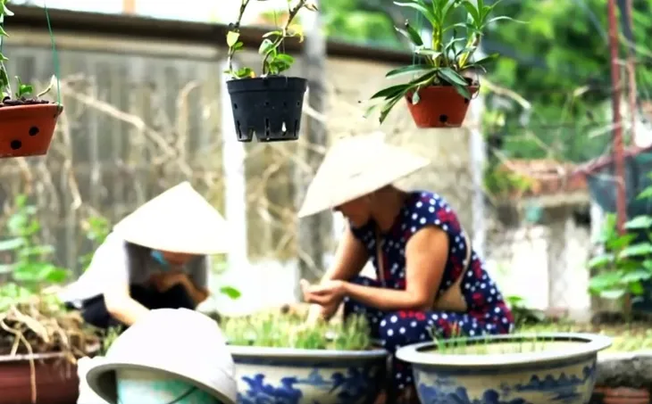 Cần làm gì để những bác sĩ nghỉ việc quay trở lại? - Ảnh 1.