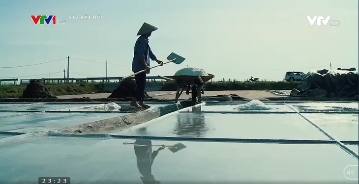Phim tài liệu Đời muối: Cuộc sống lay lắt của những diêm dân yêu nghề - Ảnh 6. Phim tài liệu Đời muối: Cuộc sống lay lắt của những diêm dân yêu nghề - Ảnh 6.