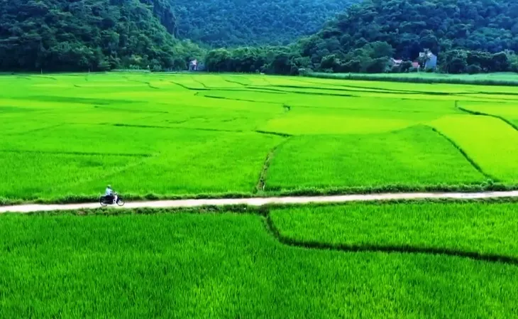 Dòng họ tự quản về an ninh, trật tự - Ảnh 2. Dòng họ tự quản về an ninh, trật tự - Ảnh 2.