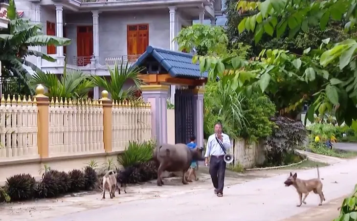 Dòng họ tự quản về an ninh, trật tự - Ảnh 1. Dòng họ tự quản về an ninh, trật tự - Ảnh 1.