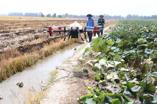 Chuẩn hóa quy định ứng dụng thiết bị bay phun thuốc bảo vệ thực vật - Ảnh 1.