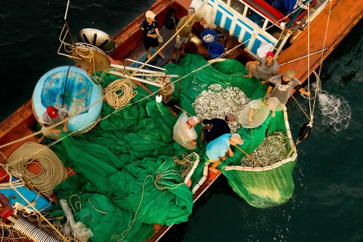Giá nhiều mặt hàng thiết yếu dần hạ nhiệt - Ảnh 1. Giá nhiều mặt hàng thiết yếu dần hạ nhiệt - Ảnh 1.
