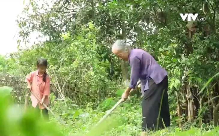 Cặp lá yêu thương: Vì con thương bà - Ảnh 1. Cặp lá yêu thương: Vì con thương bà - Ảnh 1.