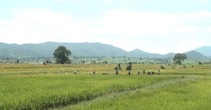Hiệu quả từ mô hình khai hoang đất, chia ruộng cho người nghèo - Ảnh 1. Hiệu quả từ mô hình khai hoang đất, chia ruộng cho người nghèo - Ảnh 1.
