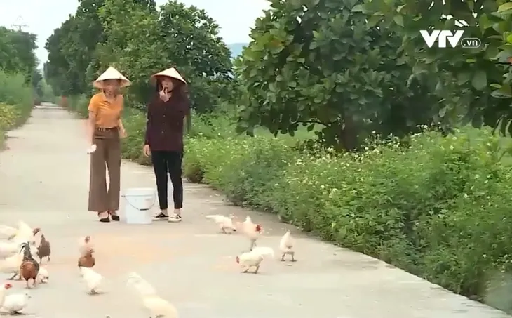 Du lịch nông nghiệp, nông thôn: Tiềm năng còn bỏ ngỏ - Ảnh 1. Du lịch nông nghiệp, nông thôn: Tiềm năng còn bỏ ngỏ - Ảnh 1.