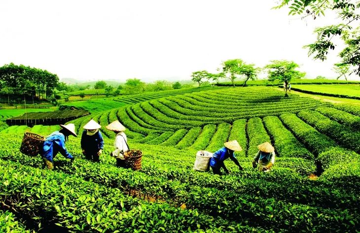 Nghị quyết 20 và bài toán tín dụng cho khu vực kinh tế tập thể - Ảnh 1. Nghị quyết 20 và bài toán tín dụng cho khu vực kinh tế tập thể - Ảnh 1.