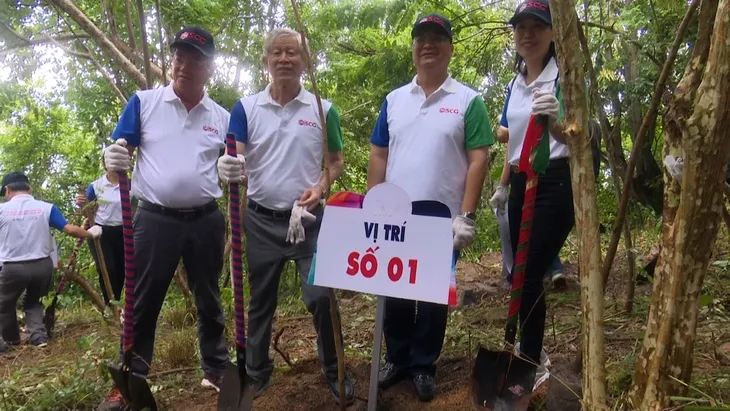 Vũng Tàu: Trồng hàng trăm cây xanh trên núi Lớn bảo vệ môi trường - Ảnh 2. Vũng Tàu: Trồng hàng trăm cây xanh trên núi Lớn bảo vệ môi trường - Ảnh 2.