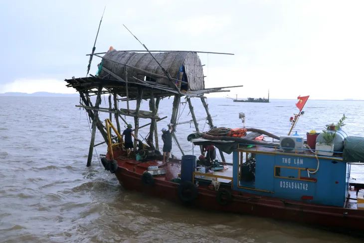 Hải Phòng: Phê bình 2 Chủ tịch huyện chậm thực hiện xử phạt các hộ nuôi ngao không phép - Ảnh 1. Hải Phòng: Phê bình 2 Chủ tịch huyện chậm thực hiện xử phạt các hộ nuôi ngao không phép - Ảnh 1.