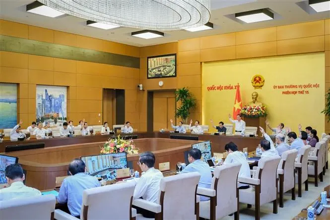 Khai mạc phiên họp thứ 15 của Ủy ban Thường vụ Quốc hội - Ảnh 4.