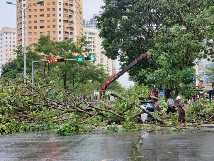 Hà Nội: Cây xanh bật gốc đè lên ô tô do mưa dông lớn - Ảnh 4. Hà Nội: Cây xanh bật gốc đè lên ô tô do mưa dông lớn - Ảnh 4.