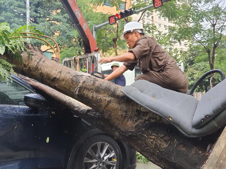 Hà Nội: Cây xanh bật gốc đè lên ô tô do mưa dông lớn - Ảnh 2. Hà Nội: Cây xanh bật gốc đè lên ô tô do mưa dông lớn - Ảnh 2.