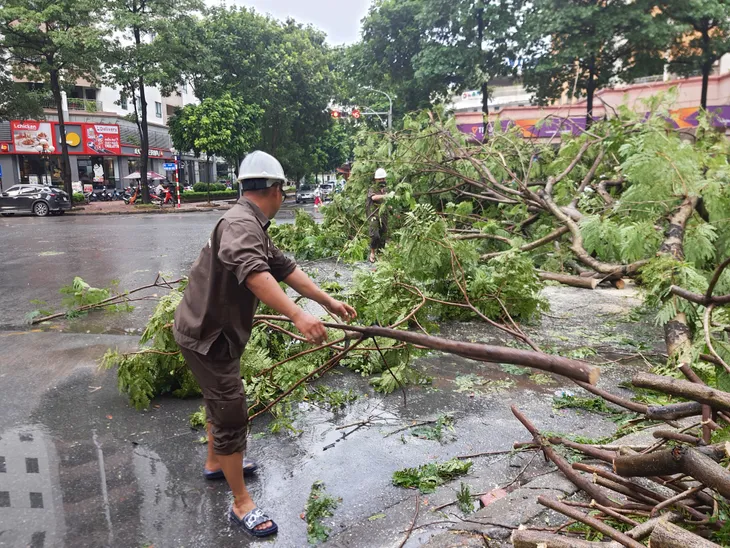 Hà Nội: Cây xanh bật gốc đè lên ô tô do mưa dông lớn - Ảnh 3. Hà Nội: Cây xanh bật gốc đè lên ô tô do mưa dông lớn - Ảnh 3.