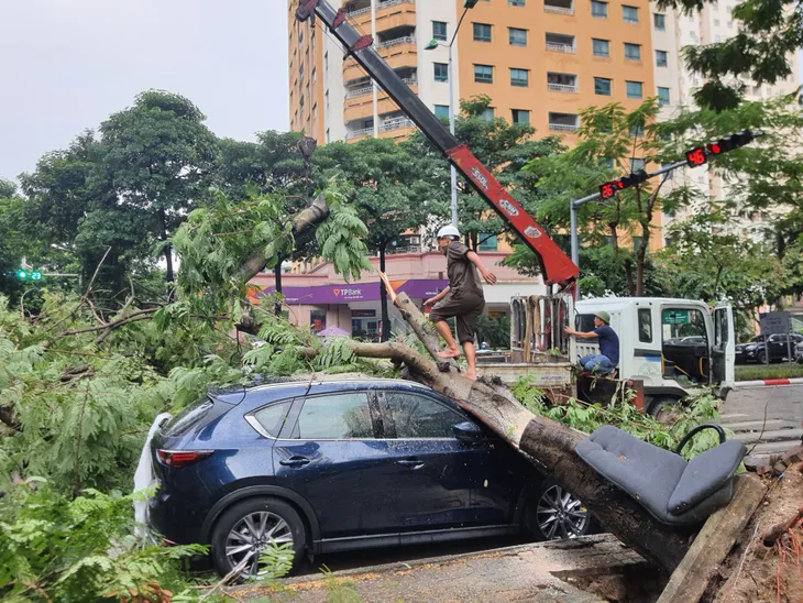 Hà Nội: Cây xanh bật gốc đè lên ô tô do mưa dông lớn - Ảnh 1. Hà Nội: Cây xanh bật gốc đè lên ô tô do mưa dông lớn - Ảnh 1.