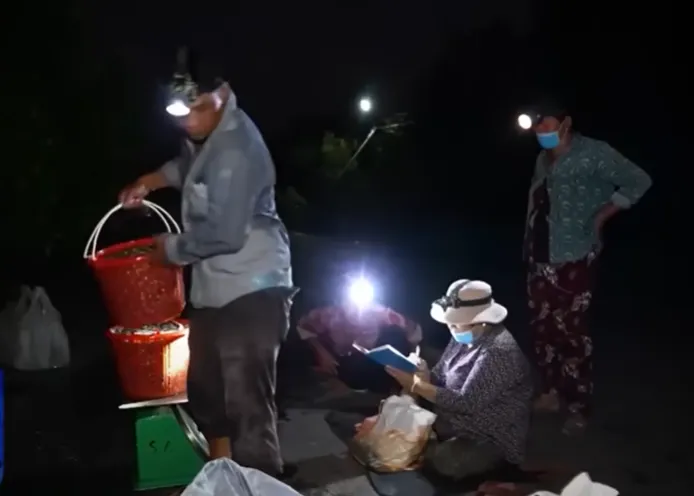 “Chợ cá ma” mùa nước nổi - Ảnh 1. “Chợ cá ma” mùa nước nổi - Ảnh 1.