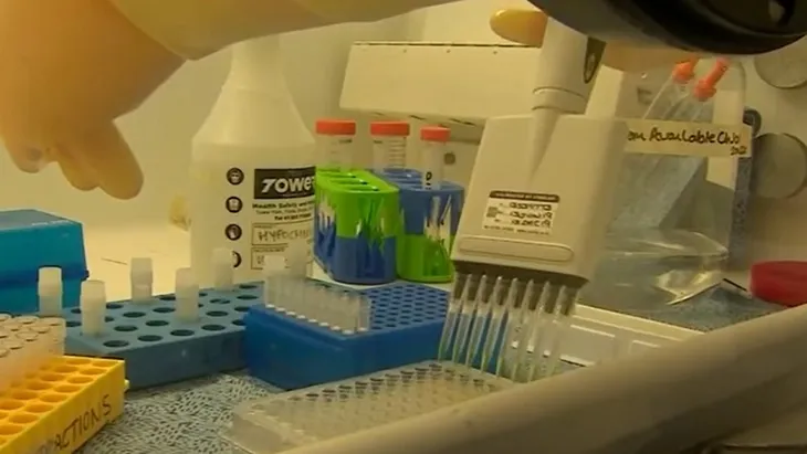 WHO: Tiếp tục duy trì xét nghiệm và giải trình tự gene virus SARS-CoV-2 - Ảnh 1. WHO: Tiếp tục duy trì xét nghiệm và giải trình tự gene virus SARS-CoV-2 - Ảnh 1.