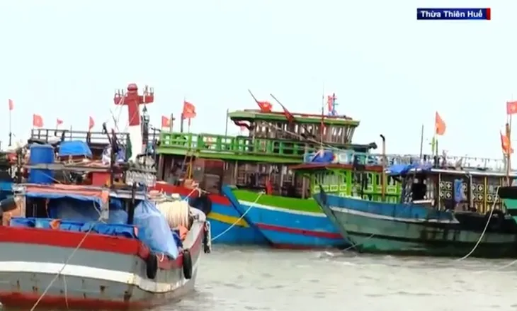 Bão Noru tăng 5 cấp trong 24 giờ, các tỉnh Bắc Trung Bộ khẩn trương ứng phó - Ảnh 11. Bão Noru tăng 5 cấp trong 24 giờ, các tỉnh Bắc Trung Bộ khẩn trương ứng phó - Ảnh 11.