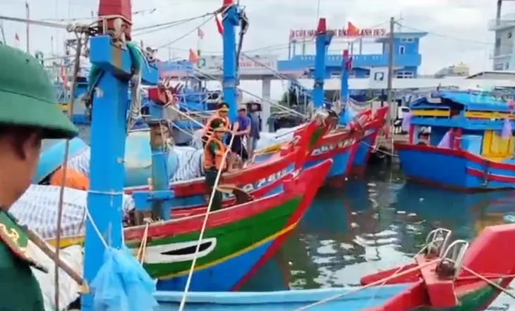Bão Noru tăng 5 cấp trong 24 giờ, các tỉnh Bắc Trung Bộ khẩn trương ứng phó - Ảnh 12. Bão Noru tăng 5 cấp trong 24 giờ, các tỉnh Bắc Trung Bộ khẩn trương ứng phó - Ảnh 12.