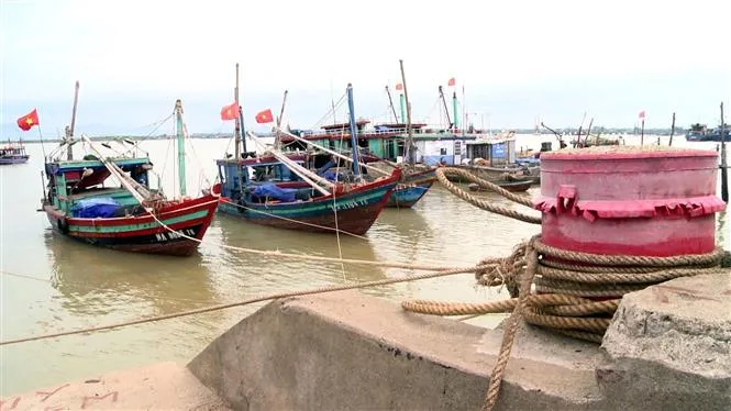 Bão Noru tăng 5 cấp trong 24 giờ, các tỉnh Bắc Trung Bộ khẩn trương ứng phó - Ảnh 6. Bão Noru tăng 5 cấp trong 24 giờ, các tỉnh Bắc Trung Bộ khẩn trương ứng phó - Ảnh 6.
